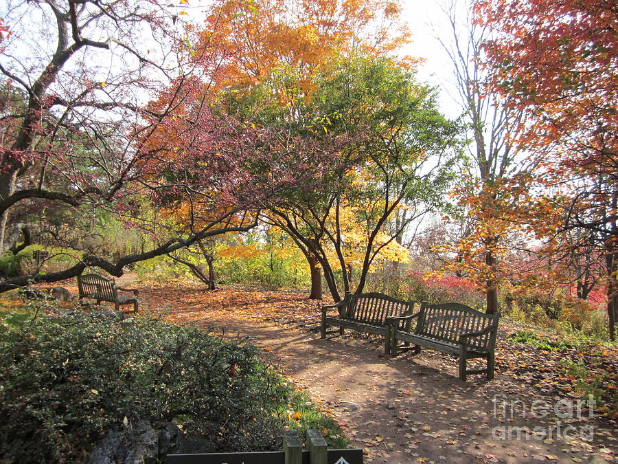 Autumn Garden Photograph by Kathie Chicoine