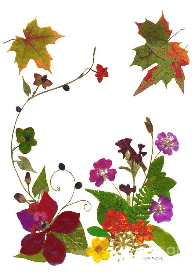 Autumn Garden Digital Art by Kathie McCurdy