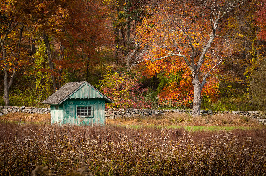 Autumn Getaway Photograph by Frank Mari