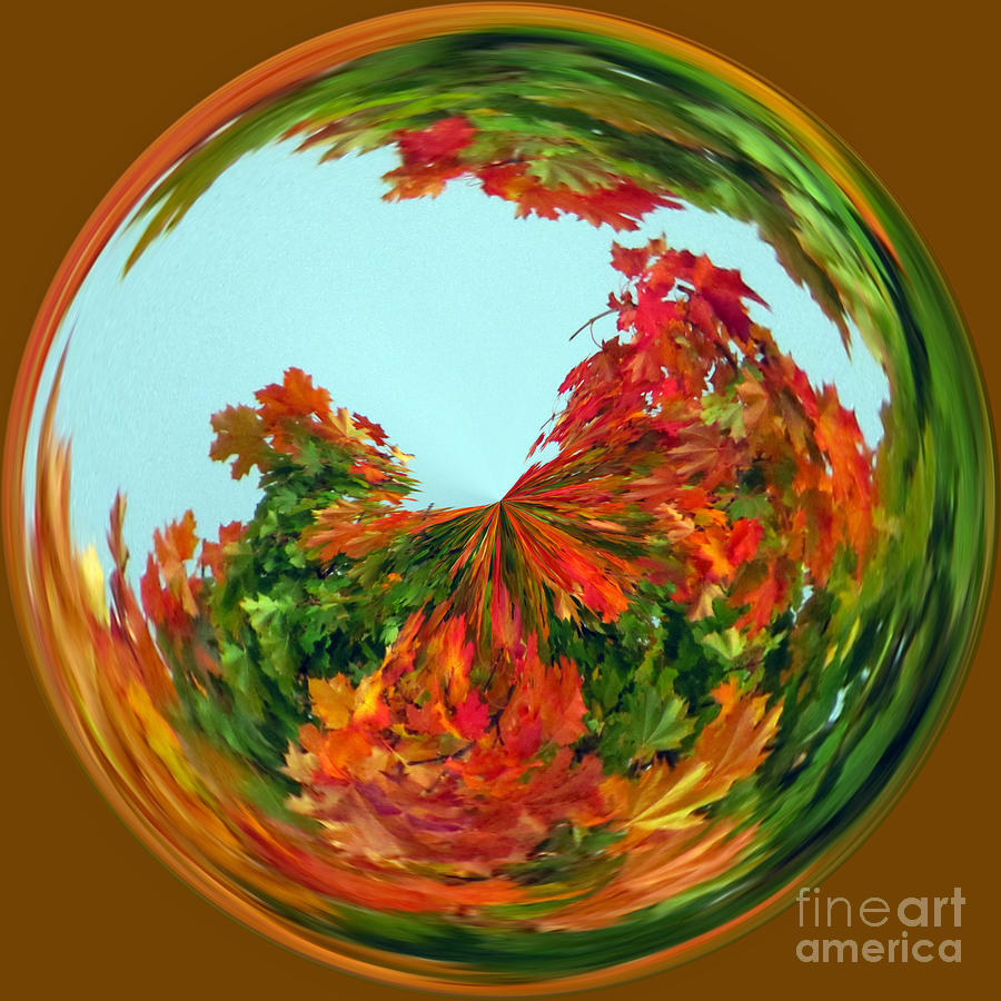 Autumn Globe  Photograph by Tikvahs Hope