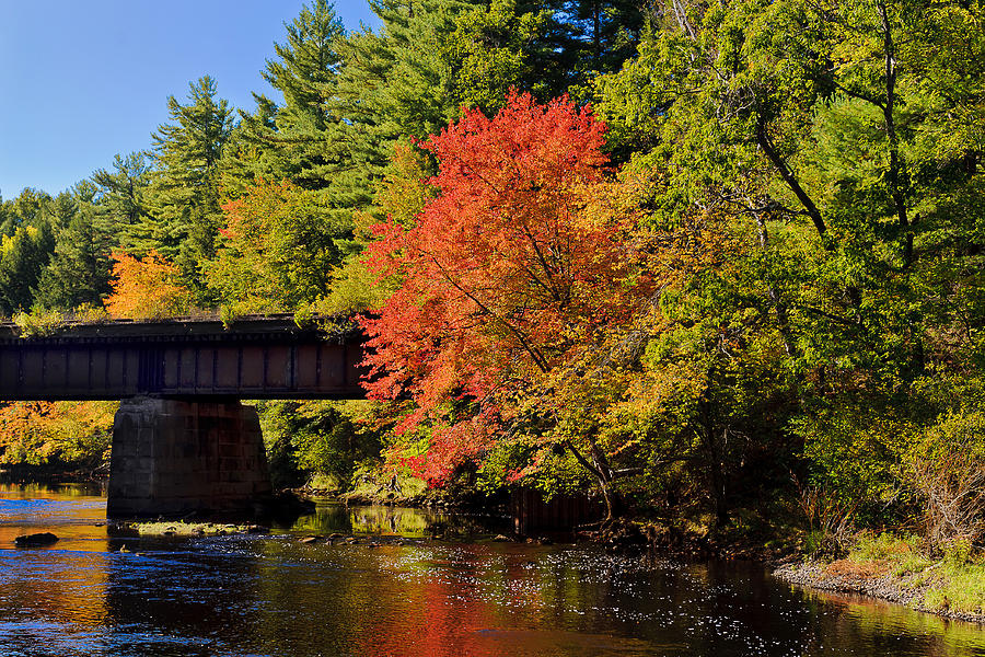Autumn Glory on the Millers River in Orange Photograph by Mitchell R Grosky
