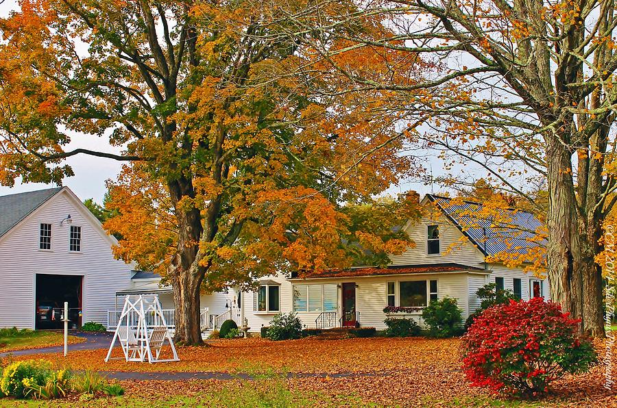 Autumn Glow Photograph by Catherine Melvin - Fine Art America