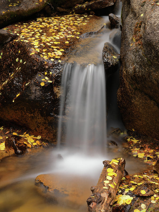 Autumn Gold and Waterfall Photograph by Leland D Howard