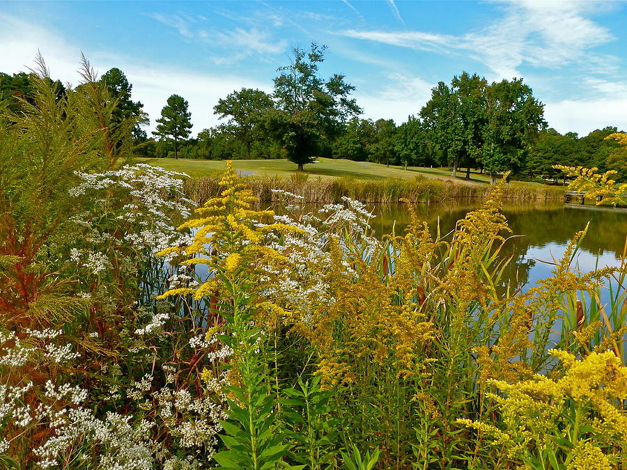 Autumn Golf Photograph by Jean Wright