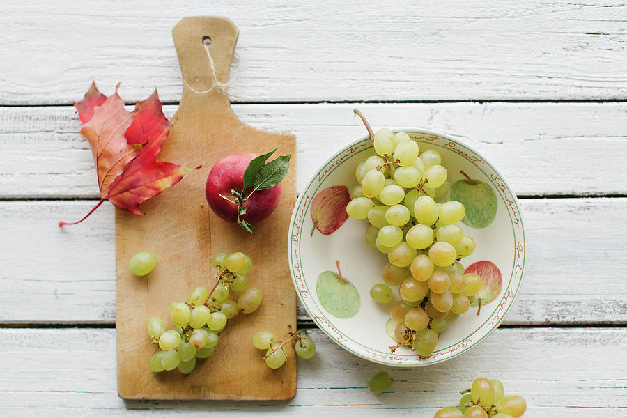 Autumn Grapes Photograph by Ingwervanille