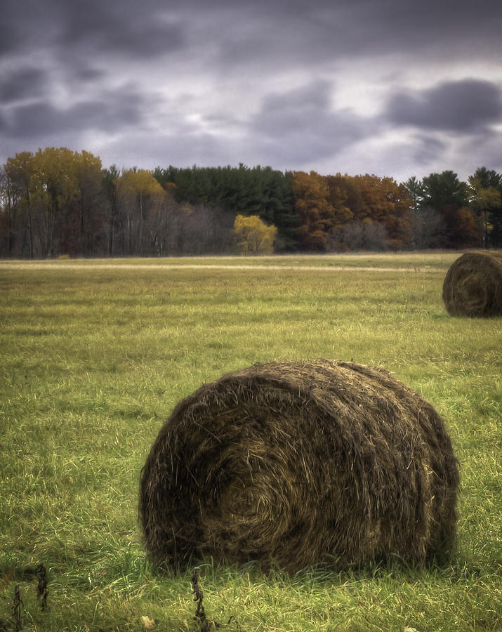 Autumn Harvest  Photograph by Thomas Young