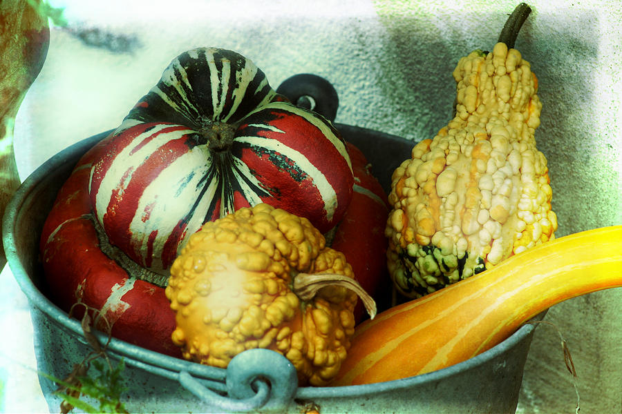 Autumn harvest Photograph by Emanuel Tanjala