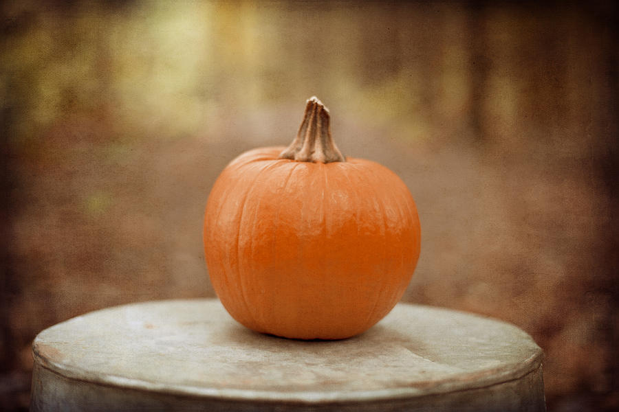 Pumpkin Photograph - Autumn Harvest by Kim Fearheiley