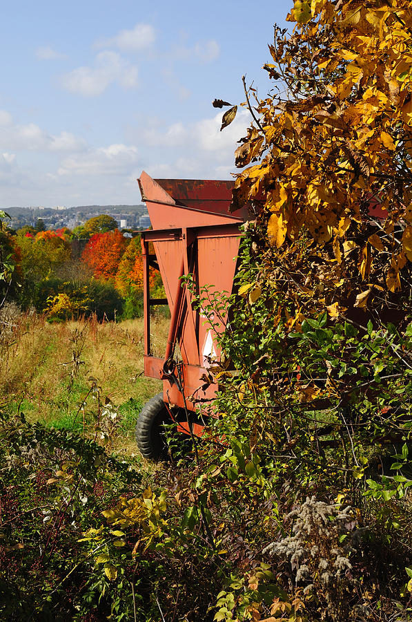 Autumn Harvest Photograph by Luke Moore