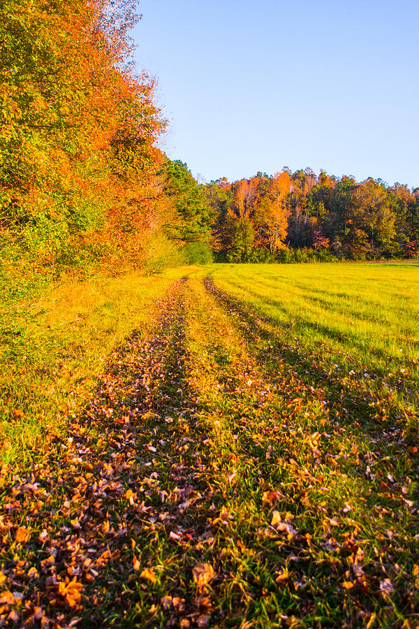Fall Photograph - Autumn Harvest by Parker Cunningham