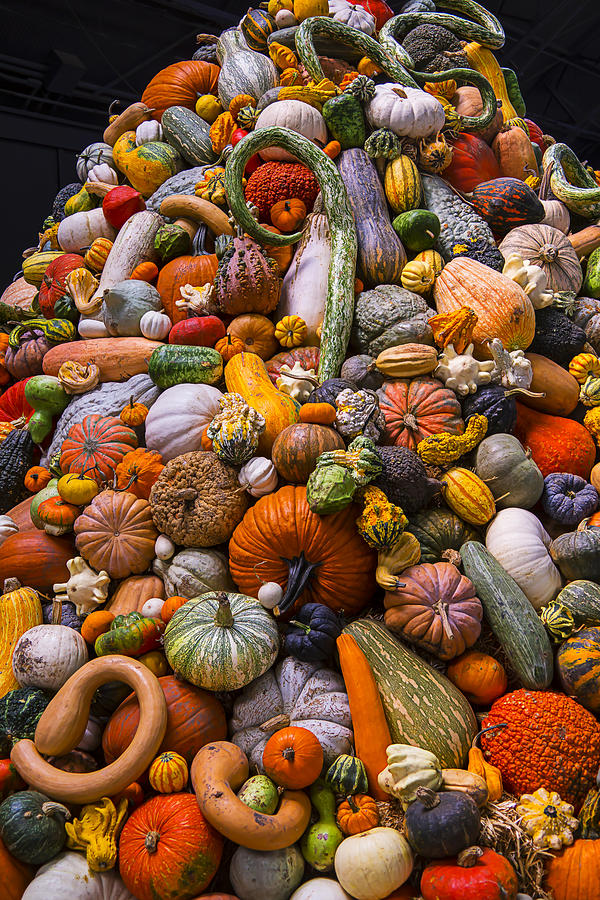 Autumn Harvest Pile Photograph by Garry Gay
