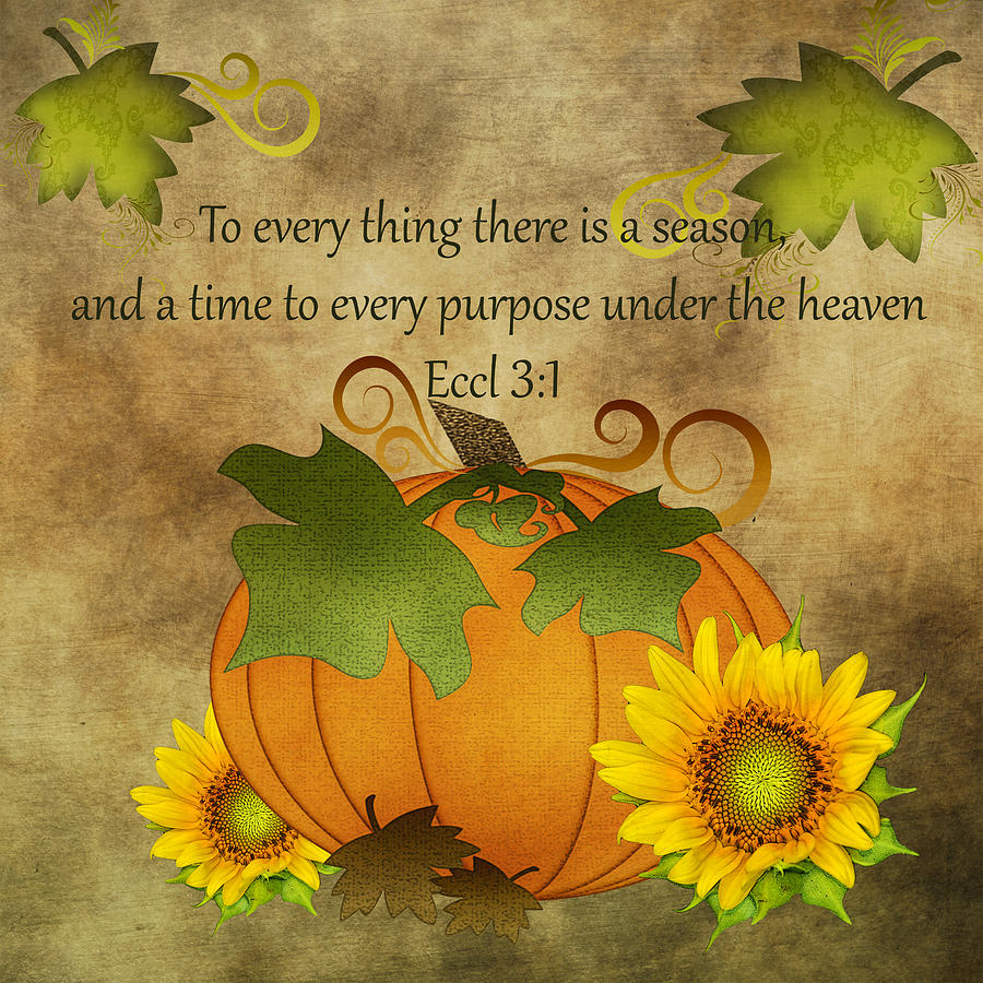 Autumn Harvest Pumpkin Digital Art by TnBackroadsPhotos 