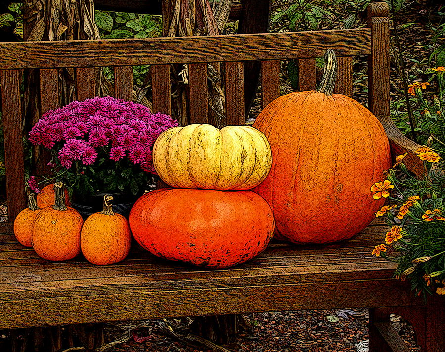 Autumn Harvest Photograph by Rodney Lee Williams