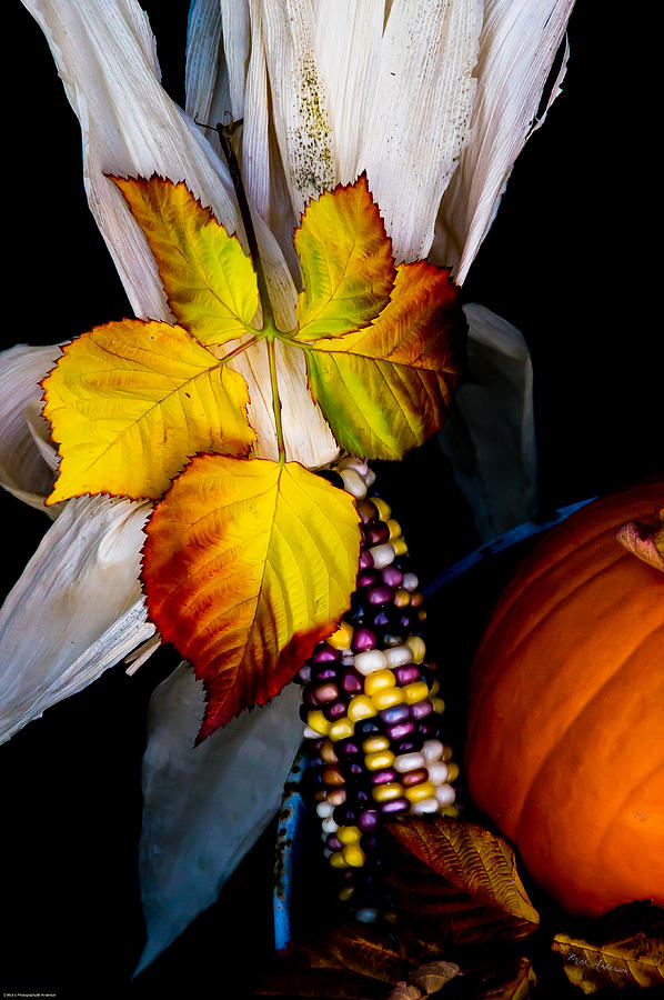 Autumn Harvest Still Life Photograph by Mick Anderson