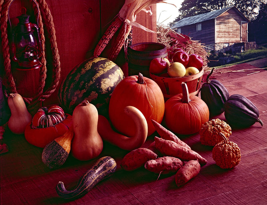 Autumn Harvest Photograph by Thomas Firak