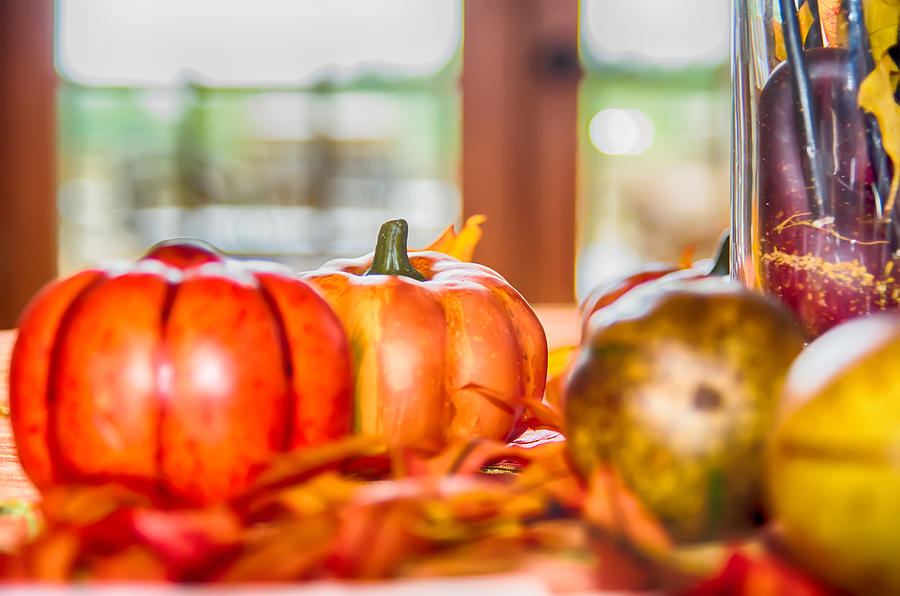 Autumn Harvest With Pumpkins On Table Photograph by Alex Grichenko