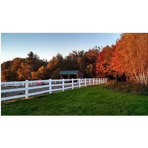 Fall Photograph - Autumn Has Arrived At Lupine Farm by Sarah Watson