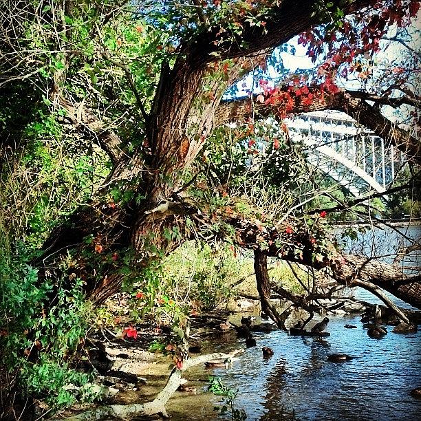 Bridge Photograph - Autumn Has Arrived In Inwood.  I Hope by Terry Lynn Lecompte