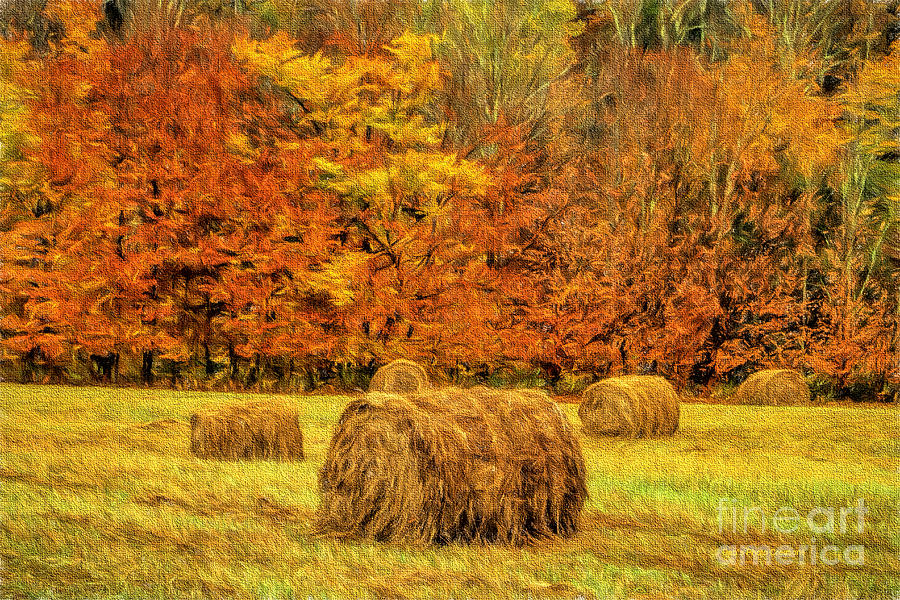 Autumn Hay Painting by Deborah Benoit