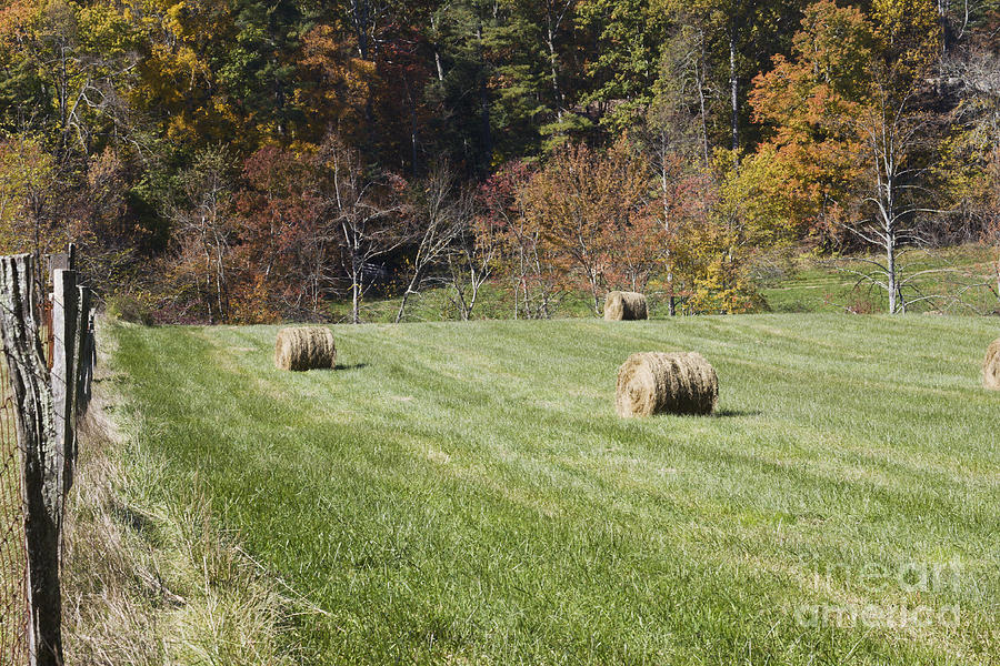 Autumn Hay Harvest Photograph by Ules Barnwell