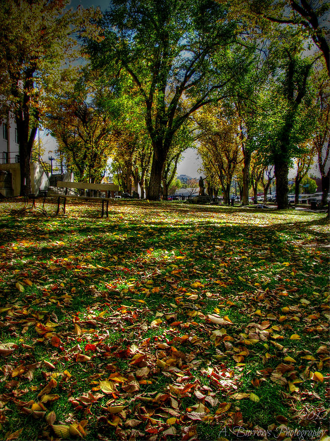 Autumn HDR Leaves on the Courtyard Photograph by Aaron Burrows