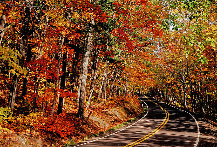 Autumn highway Photograph by Dennis Cox