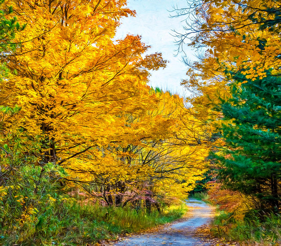 Fall Photograph - Autumn Hike - Paint by Steve Harrington