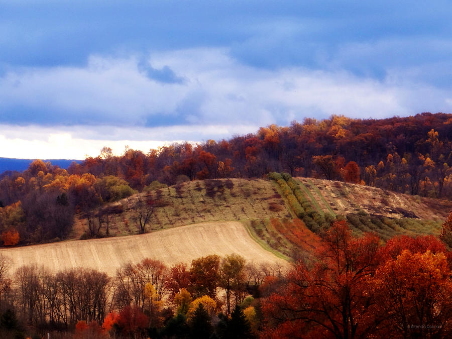Mountain Photograph - Autumn Hills by Dark Whimsy