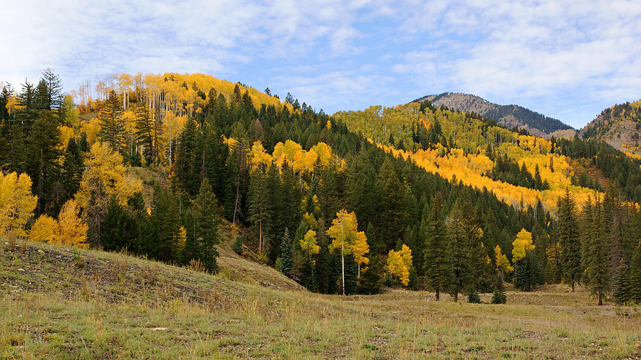 Autumn Hills in Colorado Photograph by Daniel Woodrum