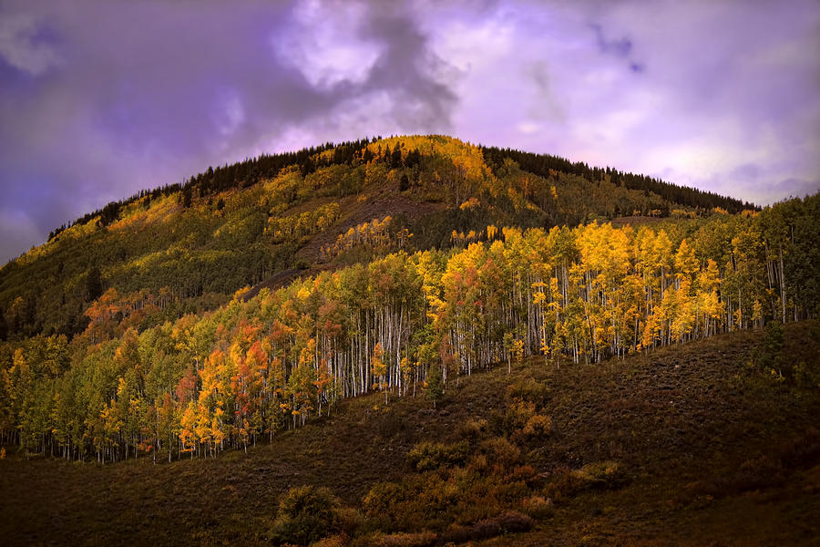 Fall Photograph - Autumn Hillside by Ellen Heaverlo