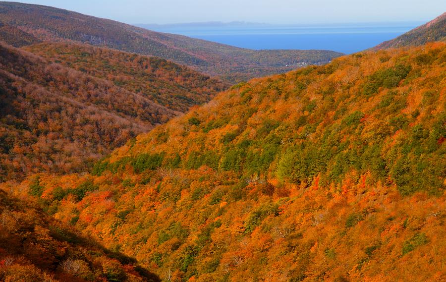Autumn hillsides at Cape Breton National Park Photograph by Jetson Nguyen