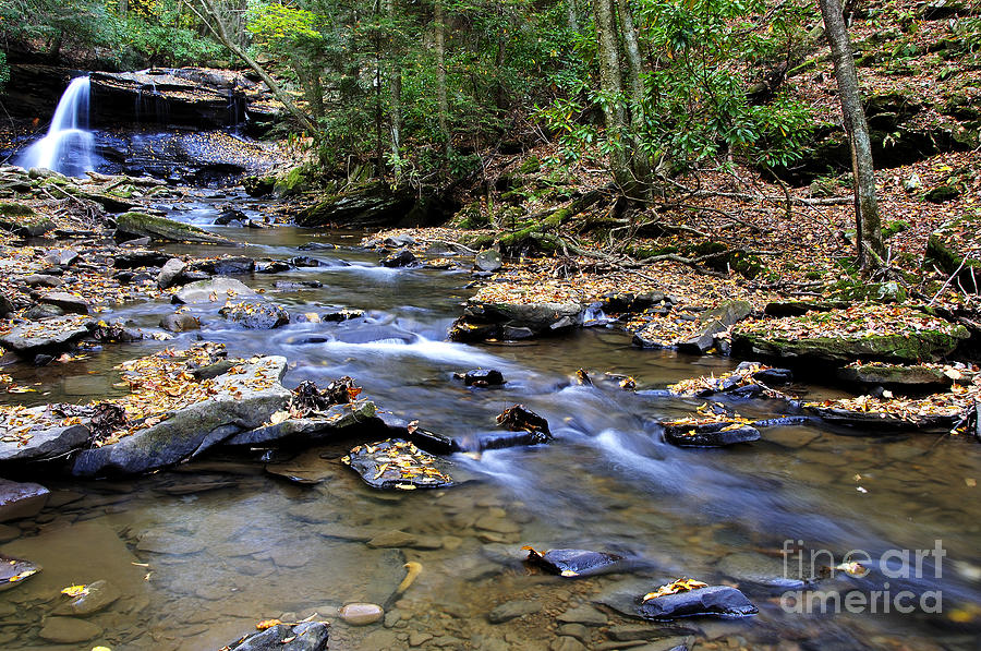 Autumn Holly River State Park Photograph by Thomas R Fletcher