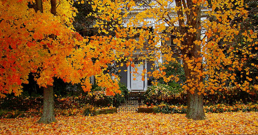 Autumn Homecoming Photograph by Rodney Lee Williams