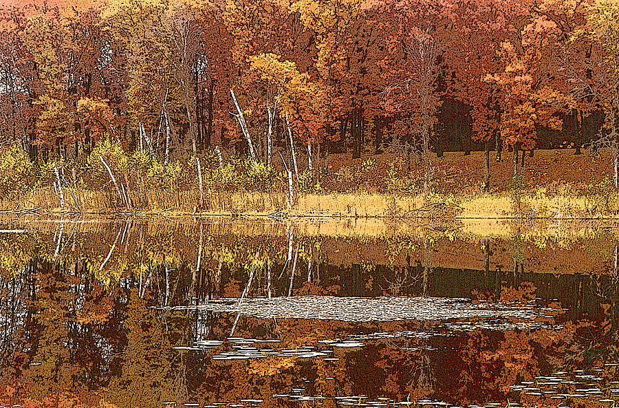 Nature Photograph - Autumn Hues Yellow by Jon Lord