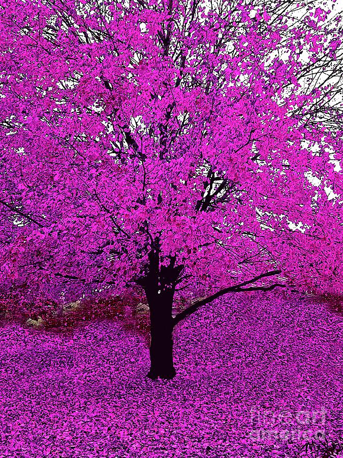 Fall Photograph - Pink or Purple Tree Impressions #6 Pink by Saundra Myles