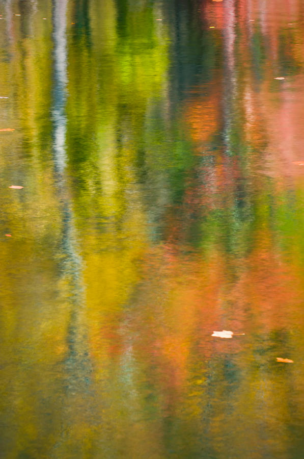 Autumn Impressions Photograph by Joan Herwig