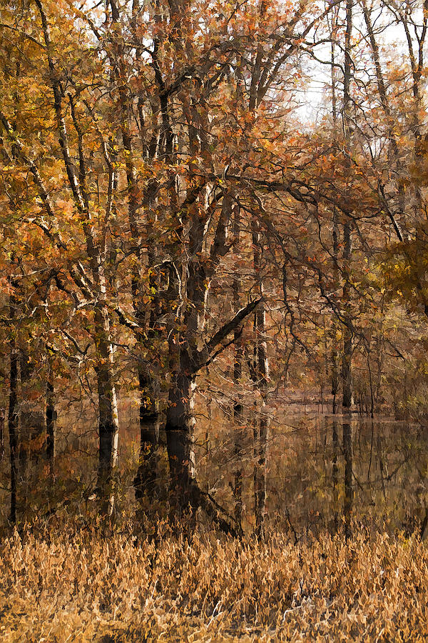 Autumn In Alabama Photograph by Kathy Clark