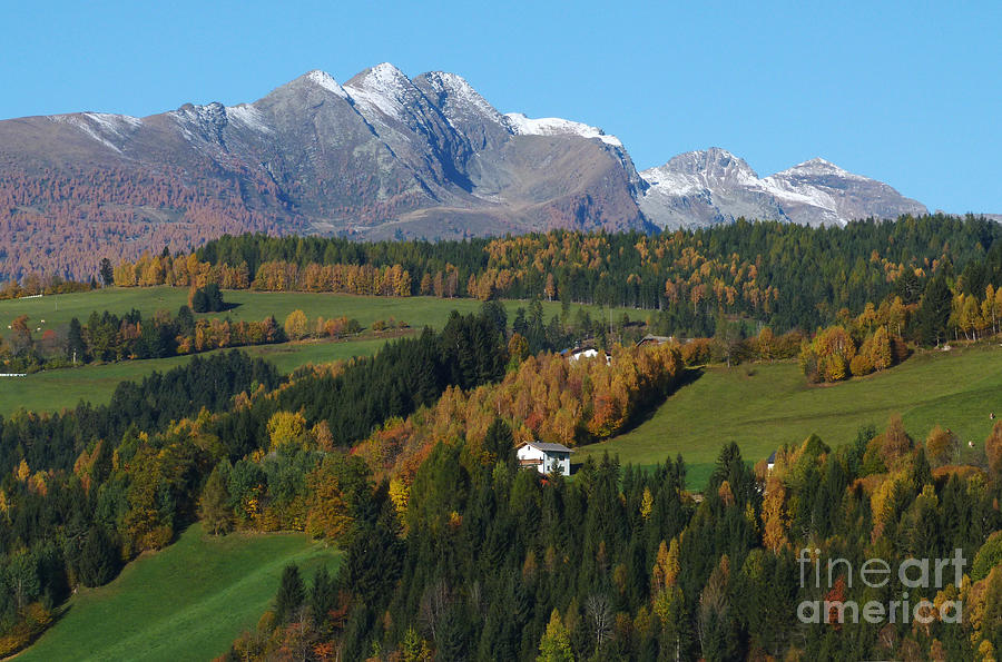 Austrian Autumn Photograph by Phil Banks