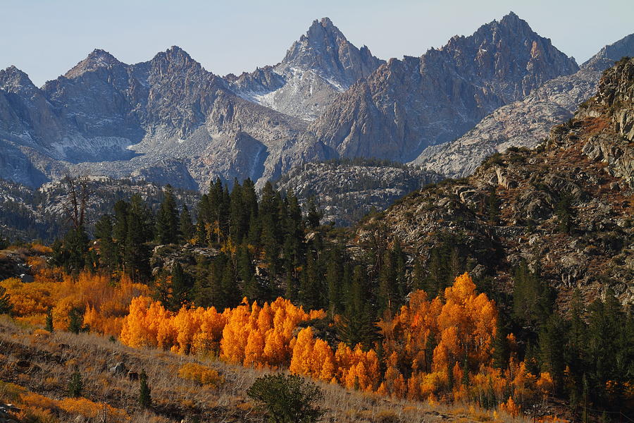 Autumn in Bishop Canyon in the Eastern Sierras Photograph by Jetson Nguyen