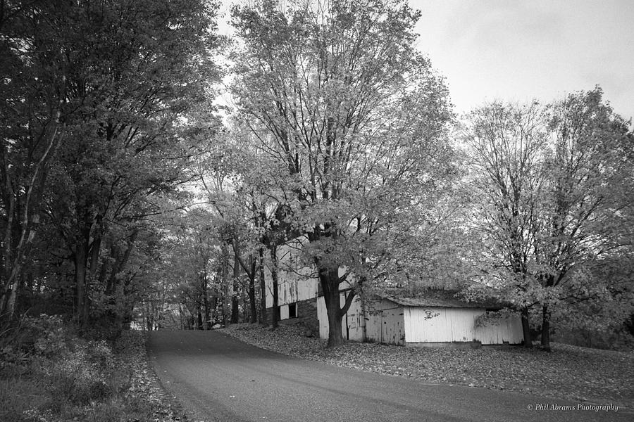 Autumn in Black and White Photograph by Phil Abrams