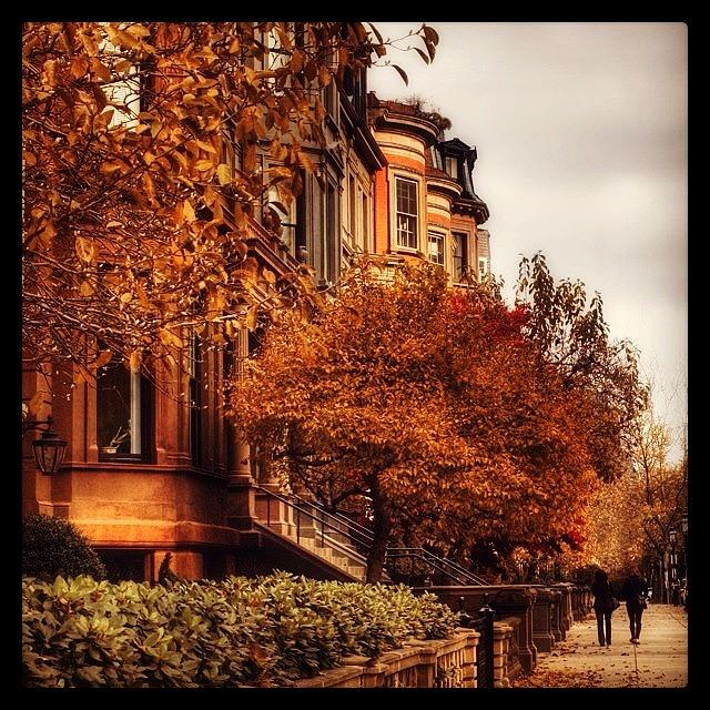 Fall Photograph - Autumn In Boston, Ma.
#visitma by Joann Vitali