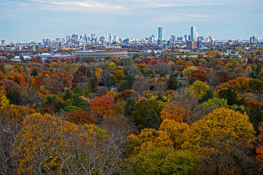 Autumn in Boston Photograph by Toby McGuire