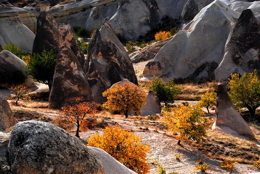Autumn in Cappadocia Photograph by Jacqueline M Lewis