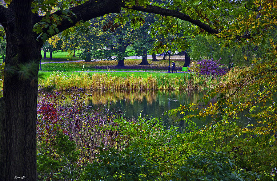 Autumn in Central Park 2 - NYC Photograph by Madeline Ellis
