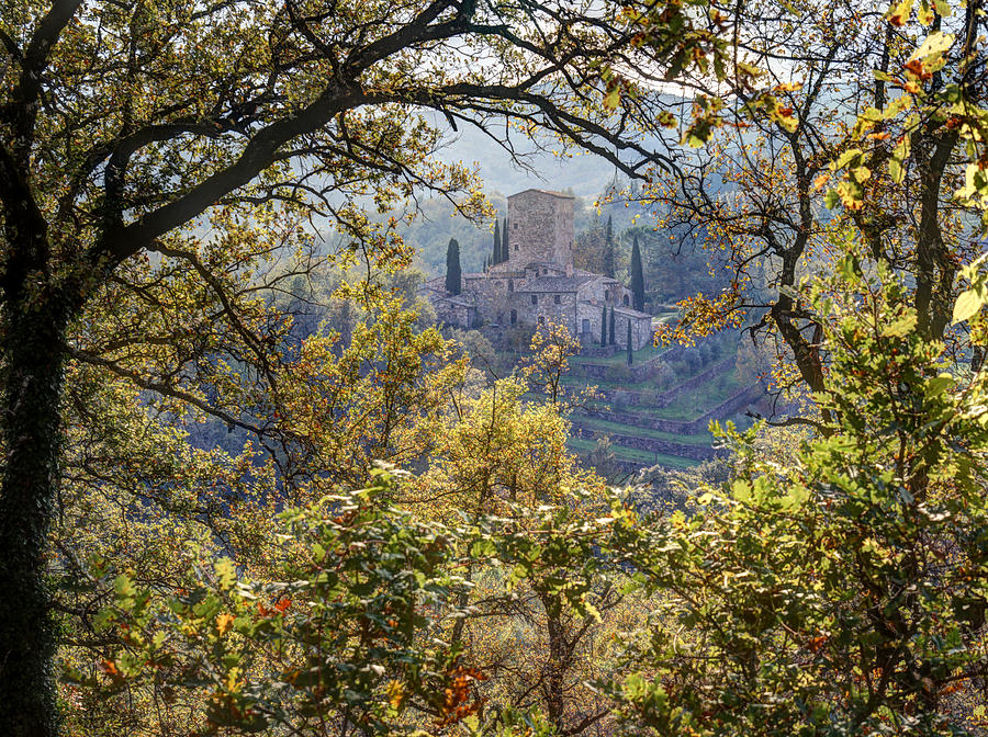 Autumn in Chianti Photograph by Eggers Photography