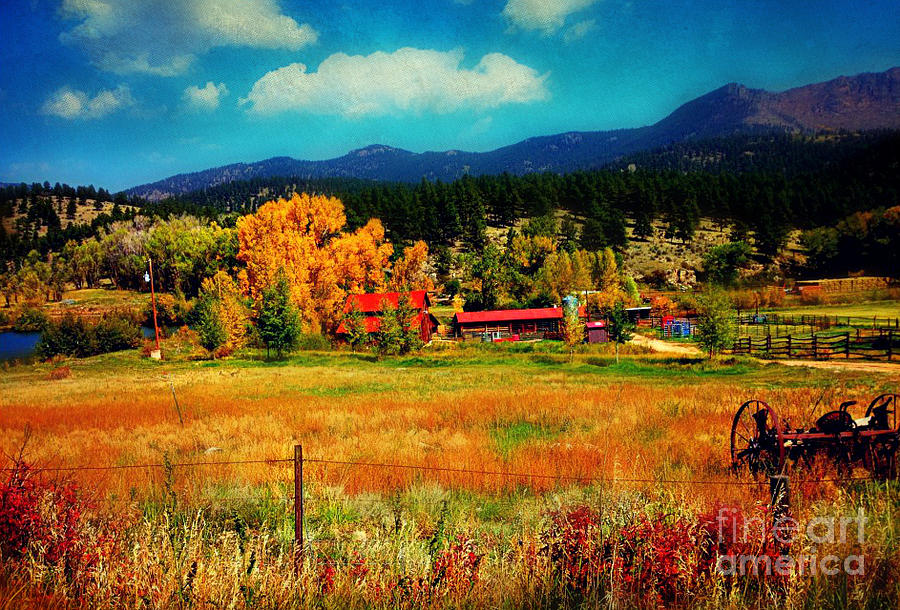 Autumn In Colorado Photograph by Beth Ferris Sale