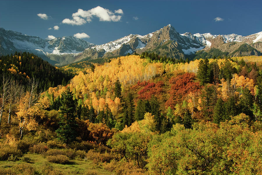Autumn In Colorado Photograph by Robin Wilson Photography