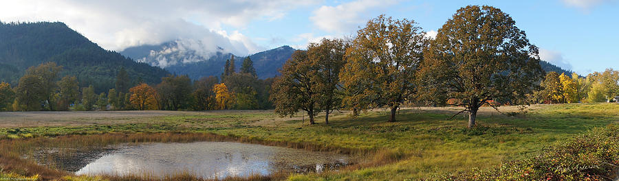 Autumn in Evans Valley Photograph by Mick Anderson