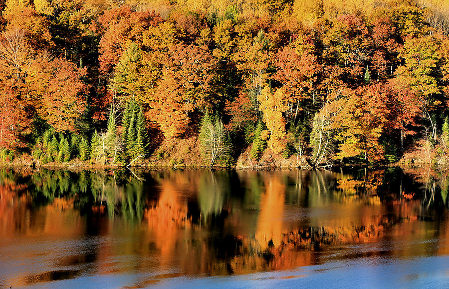 Autumn in Full Bloom Photograph by Matthew Winn | Fine Art America