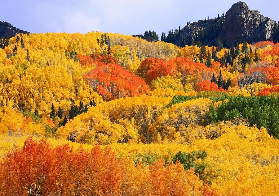 Autumn in full display at Kebler Pass Photograph by Jetson Nguyen